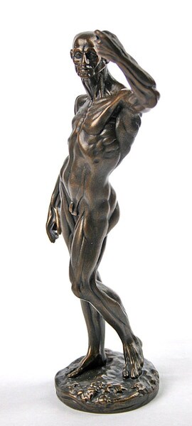 Anatomical Study Man by Houdon Statue Sculptures Drawing Artist Cast